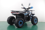 Квадроцикл Racer FREELANDER PRO125 XTS