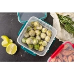 Контейнер для продуктов 0,8л «BUTTERFLY» хвоя