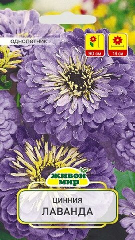 Цинния "ЖМ. Лaвaндa" 1г., Германия.