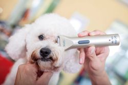 Триммер для стрижки животных Wahl miniArco (1565-0473)