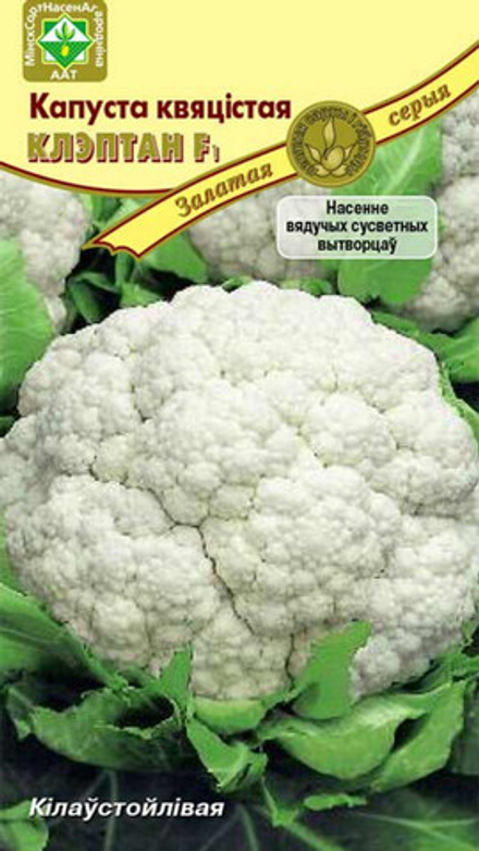 Капуста цветная "Клэптон F1" 6шт, Нидерланды.