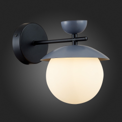 Светильник настенный Evoluce Genova SLE220201-01