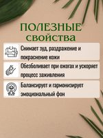 Лаванда узколистная (Настоящая). Натуральное эфирное масло.