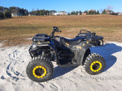 Квадроцикл бензиновый MOTAX GRIZLIK W200