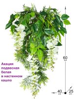 Искусственные цветы Акация подвесная в настенном кашпо