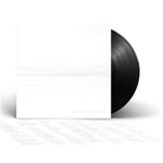 Foo Fighters / But Here We Are (LP)