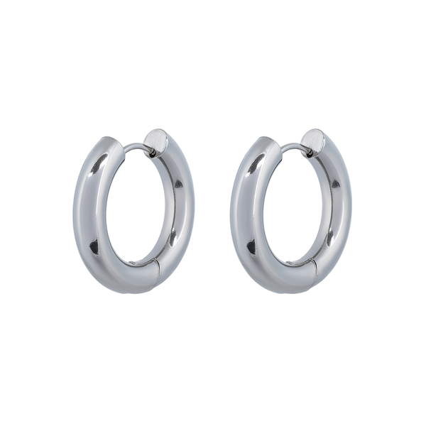 Серьги Fiore Luna 25 мм AWE2894-S-5-25mm