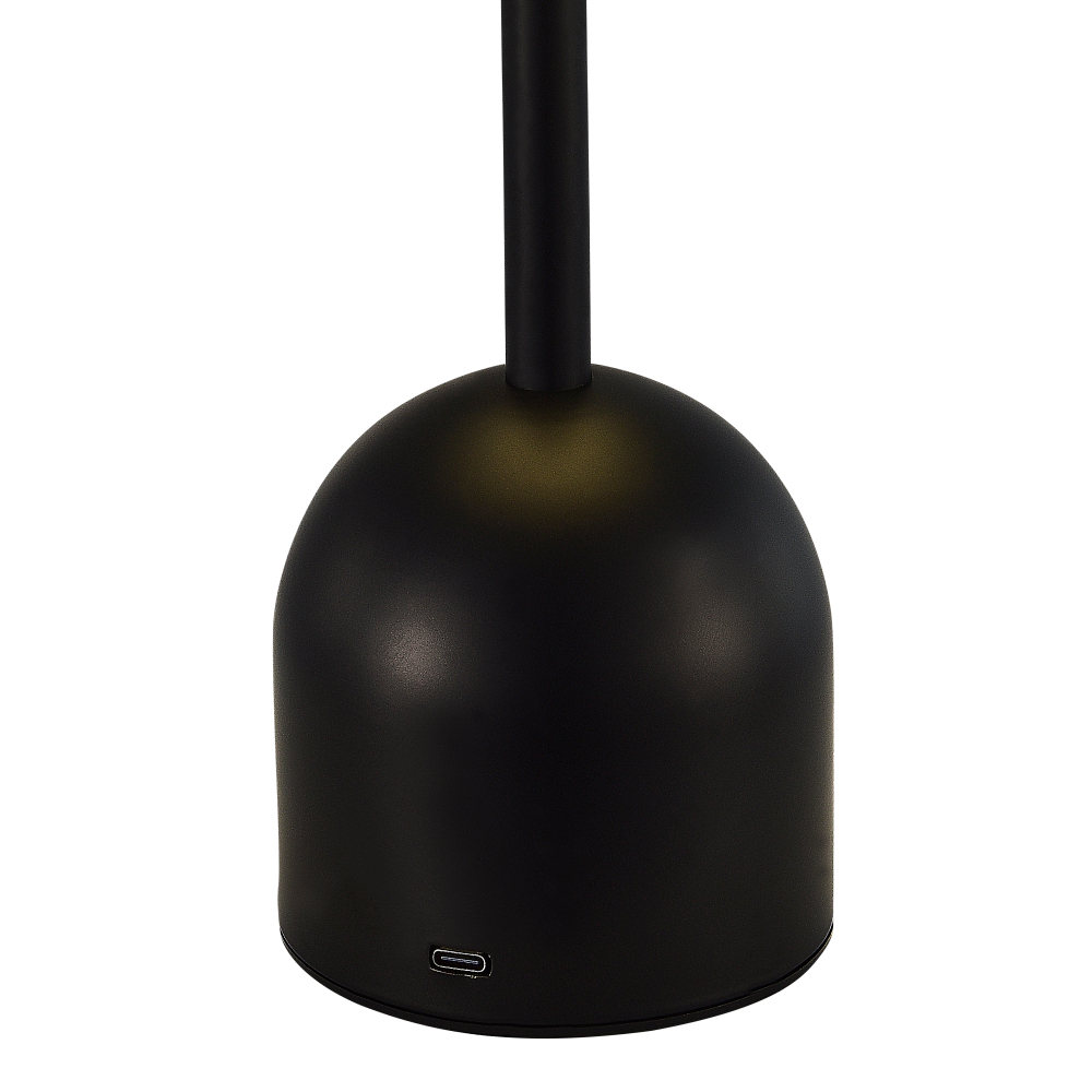 SLE1806-404-01 Прикроватная лампа Черный/Черный LED 1*3W 3000-6000K ECLAT