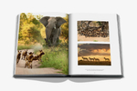 Assouline Книга Londolozi: The Safari that Changed Everything на английском языке