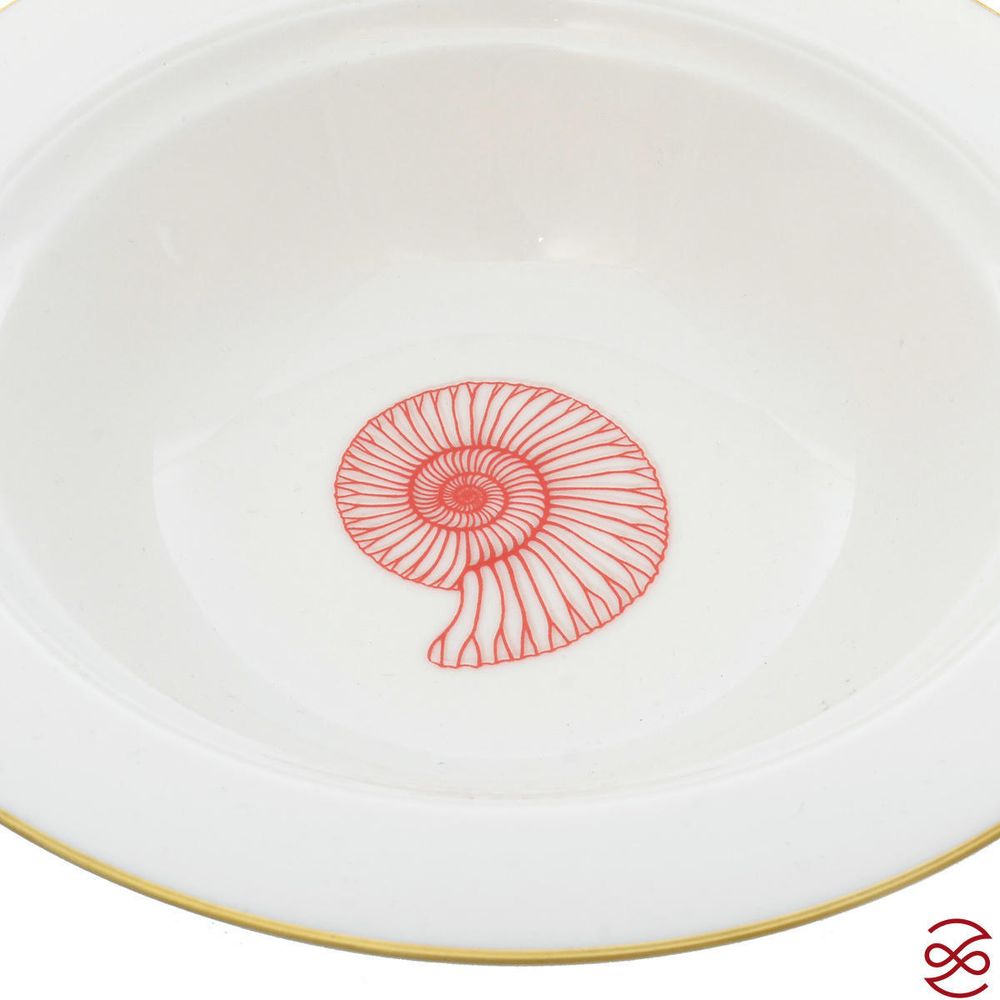 Набор салатниц Falkenporzellan Corallo Red Gold 21,5 см (6 шт)