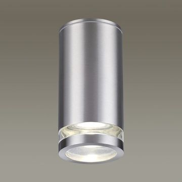 Уличный потолочный светильник 6604/1C сталь Motto Odeon Light