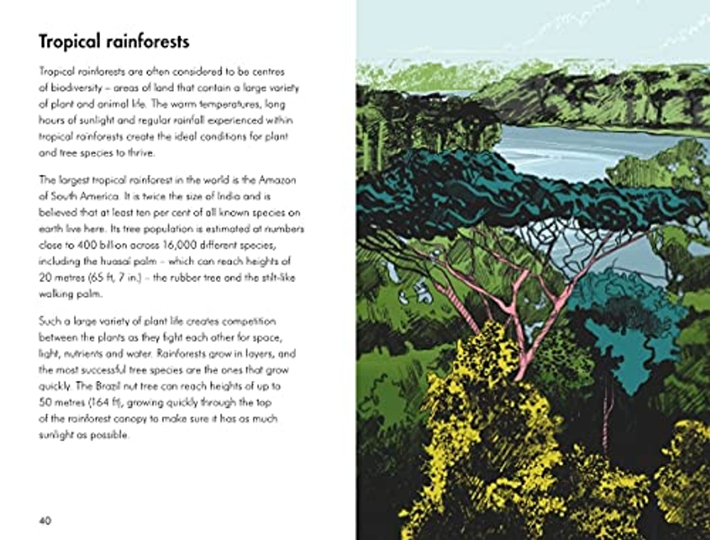 A Ladybird Book: Trees