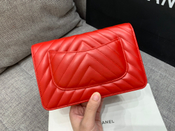 Chane1 WOC 19 cm