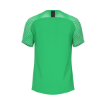 Футболка вратарская Evolution GK Jersey S/S — Light green spark