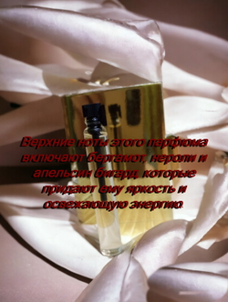 Парфюмерная вода унисекс СвеТLана Mr.Newl C&M070-14 3 мл