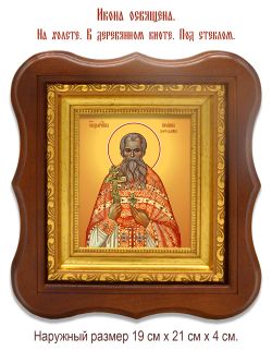 Иоанн Бороздин священномученик. Икона на холсте.