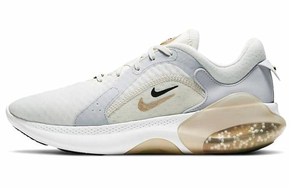 Кроссовки Nike Joyride Dual Run 2 Prm (Женская размерная сетка)