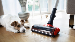 Вертикальный пылесос Bosch BCS711PET