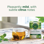 Traditional Medicinals, органическая мелисса, без кофеина, 16 чайных пакетиков, 24 г, (0,85 унции)