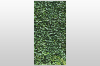 Цифровая печать Xpoint / Икспоинт. Арт панель 0627.01, 300х145 см