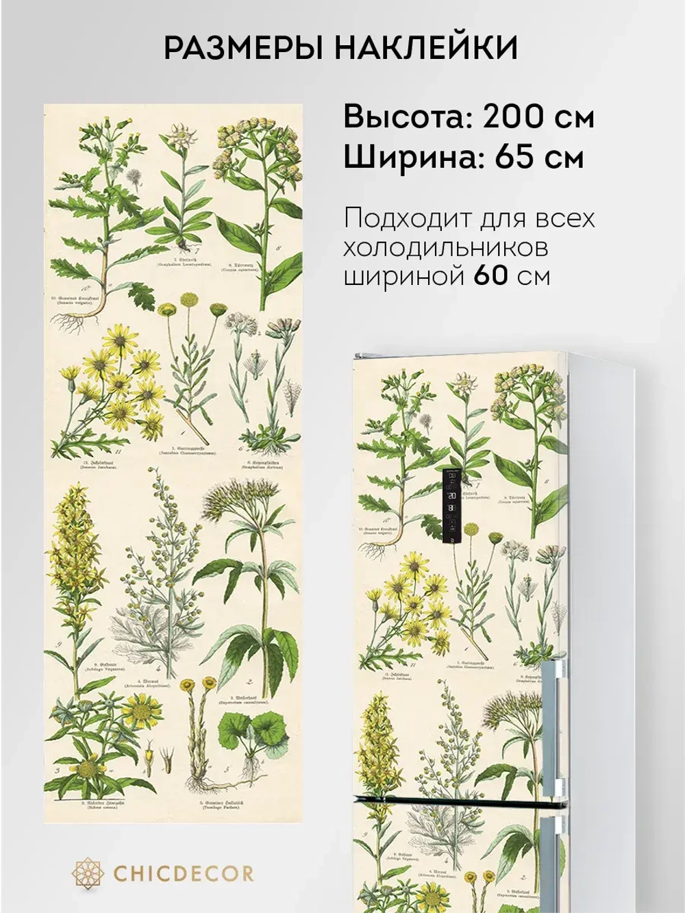 Наклейка интерьерная на холодильник Гербарий