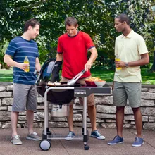 Угольный гриль Weber Performer Original GBS, 57 см, чёрный