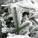 Ёлка светодиодная «Лесное сияние» 150 см (656 веток) 300 ламп LED, резина