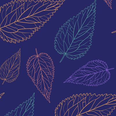 Цветные листья крапивы на синем