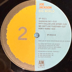 Виниловая пластинка Joe Jackson ‎– Big World 2LP