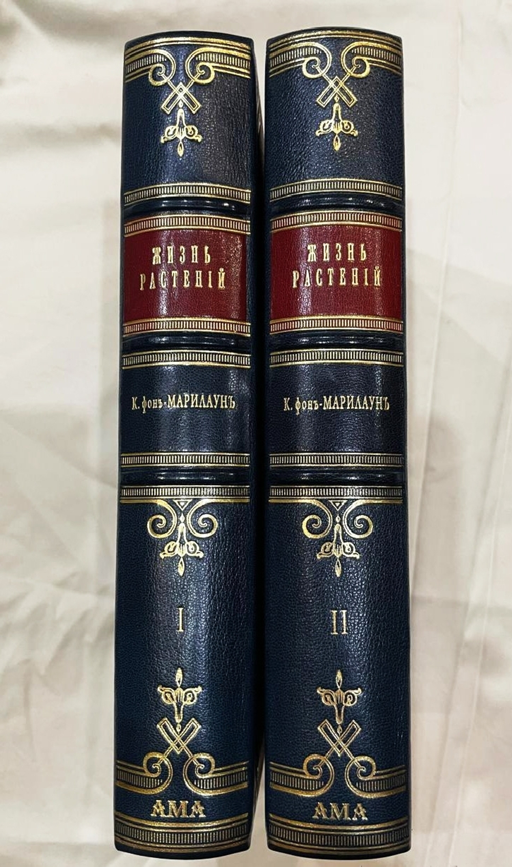 "Жизнь растений. В 2-х томах". 1903г.