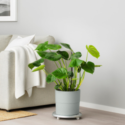 IKEA NYPON  (ИКЕА НЙПОН)  -  Крышка для цветочного горшка, серая, 24 см