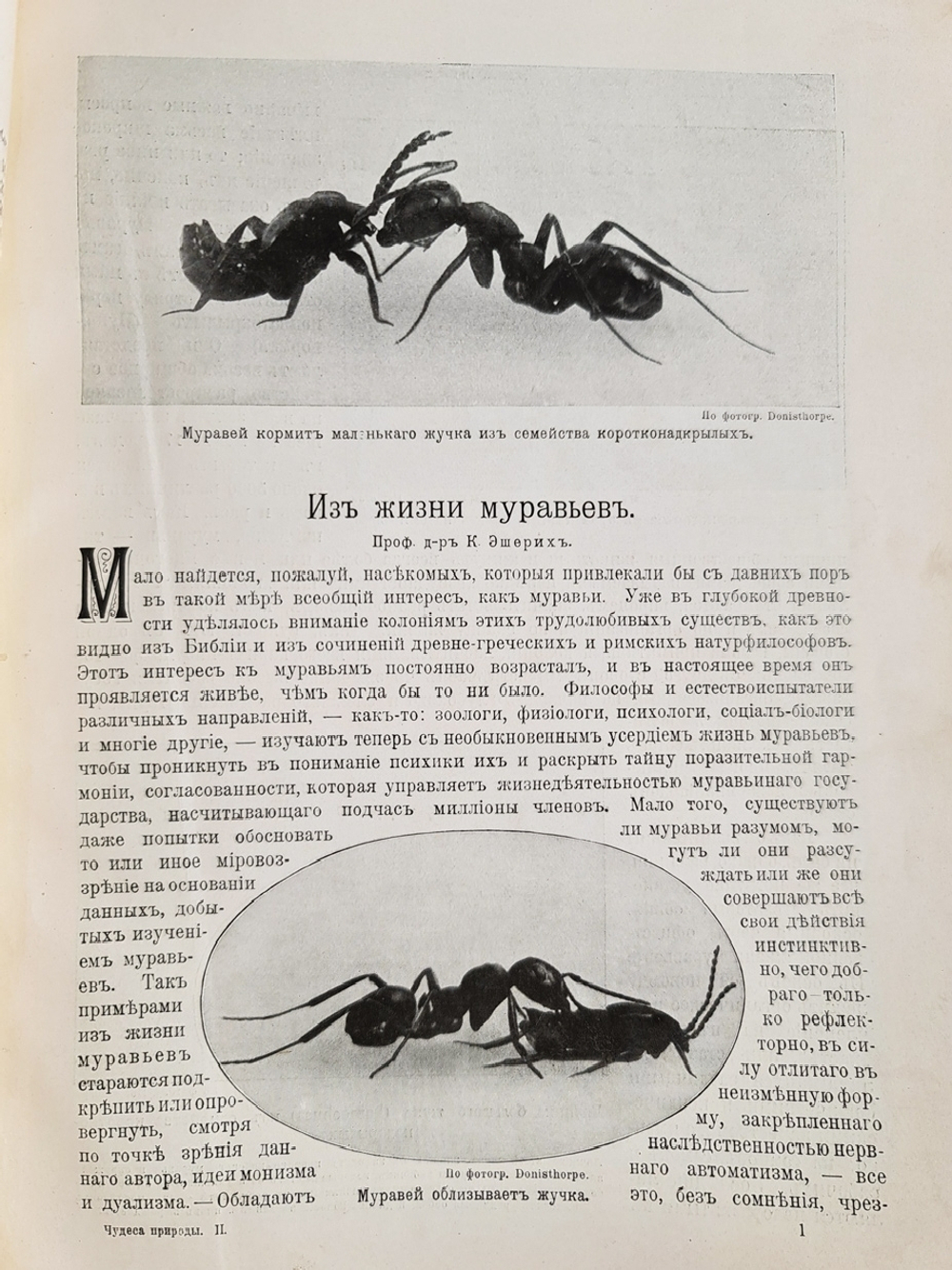 "Чудеса природы. Популярные очерки, посвященный описанию любопытнейших явлений и достопримечательностей трех царств природы. В 2-х томах". В.М.Шимкевич. 1915г. - антикварная книга