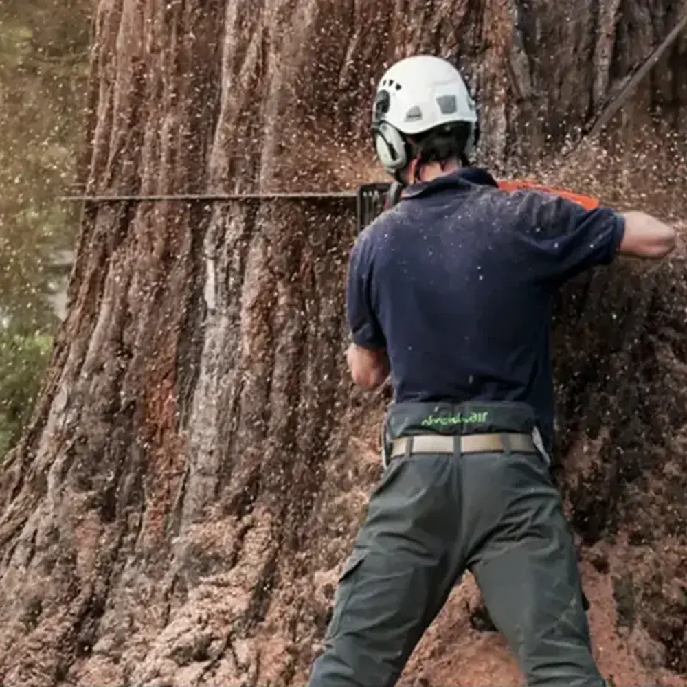 Бензопила Husqvarna 395 XP, 9659021-94