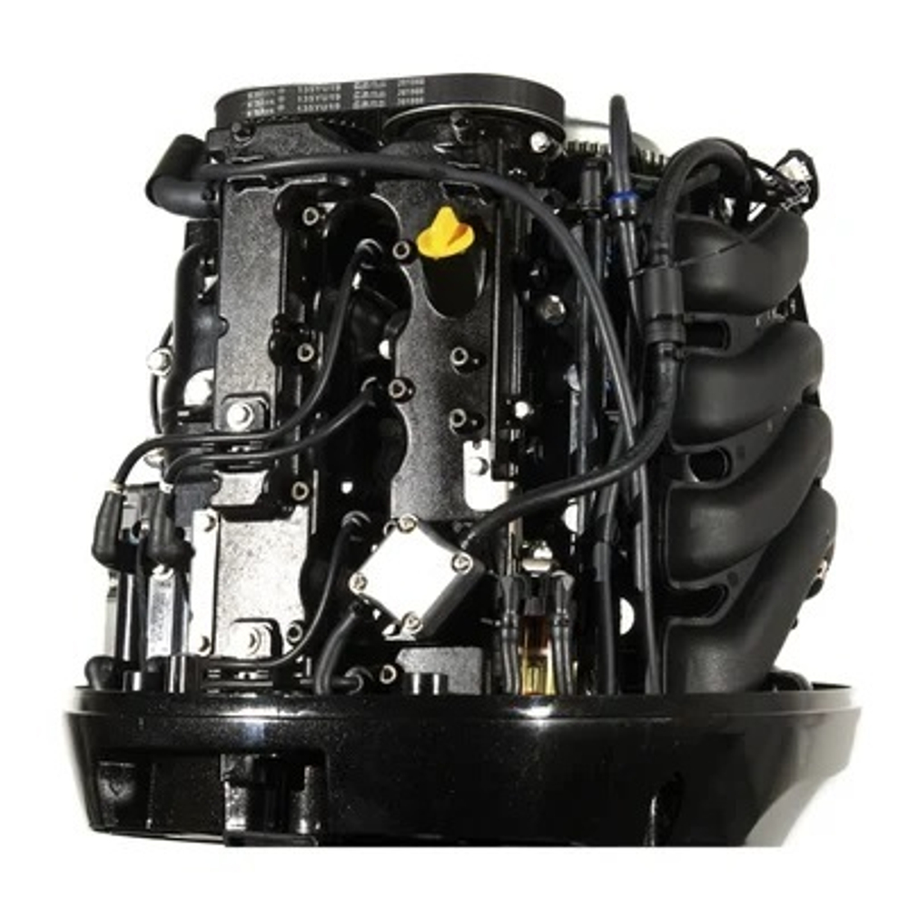 4х-тактный лодочный мотор PARSUN F115FEL-T-EFI