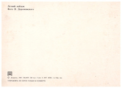 Почтовая открытка СССР Летний пейзаж Фото В. Дорожинского