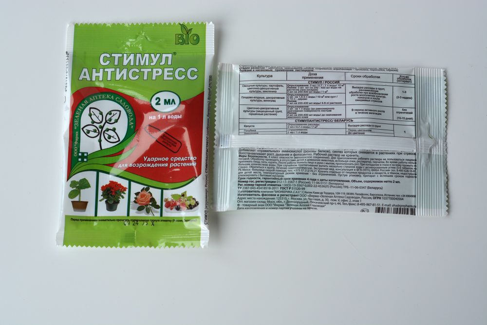 Кашпо Peperomia (под d10)