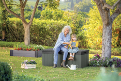 Пластиковый сундук Keter Darwin 380 л olive