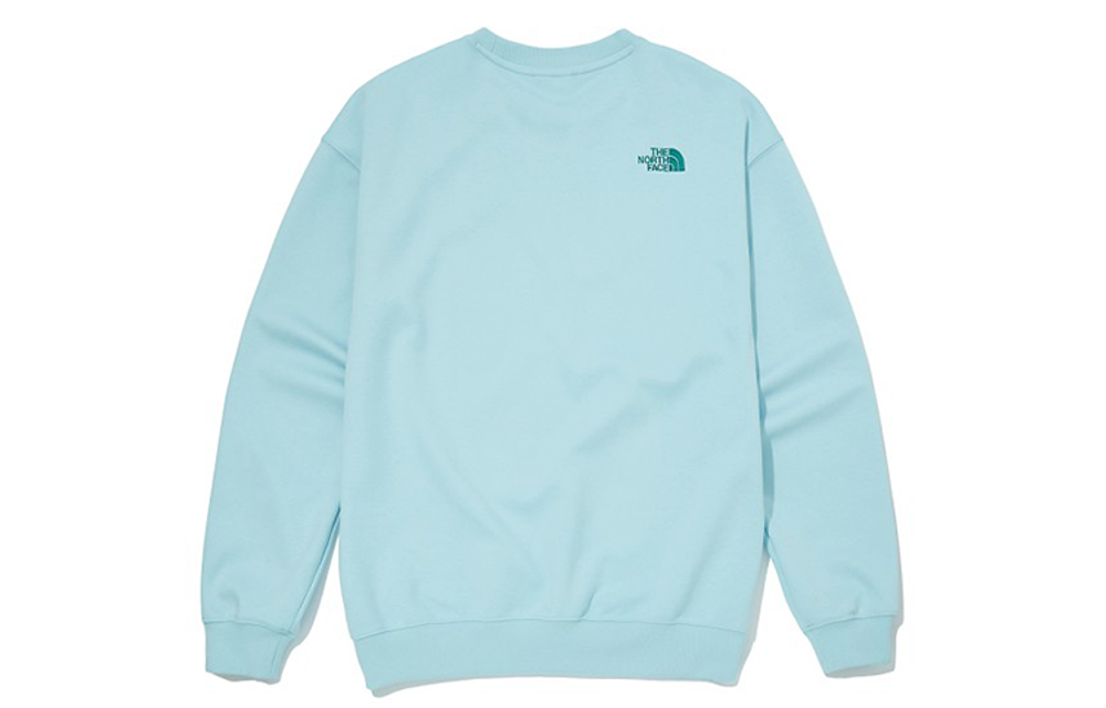 Толстовки THE NORTH FACE Logo, NM5MM02M