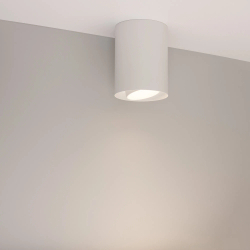 Светильник SP-FOCUS-R110-18W Day4000 (WH, 50 deg, 230V) (Arlight, IP54 Металл, 5 лет) 054866