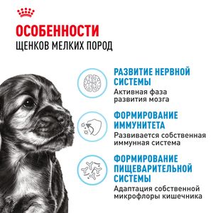 Сухой корм Royal Canin Mini Puppy для щенков мелких пород в возрасте до 10 месяцев