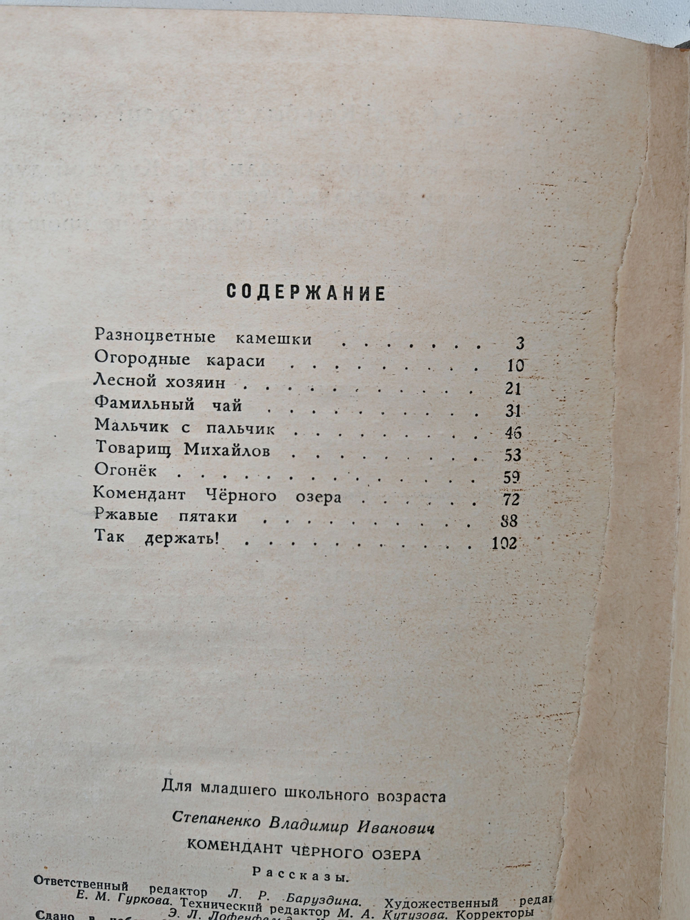 Комендант черного озера