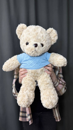 Медведь в синей кофточке