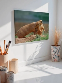 Картина на стену 40 X 50 Суслики