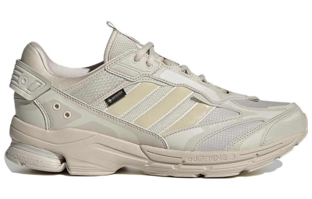 Кроссовки Adidas Spiritain 2000 Gore-Tex