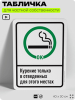 Табличка для частной территории "Курение только в отведенных местах", на дом, для участка, для подъезда, организаций и частных территорий, 40х30 см, Silver Plane x Айдентика Технолоджи