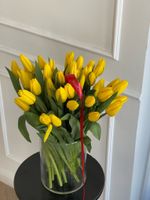 ОПТ тюльпан - классика ЖЕЛТЫЙ