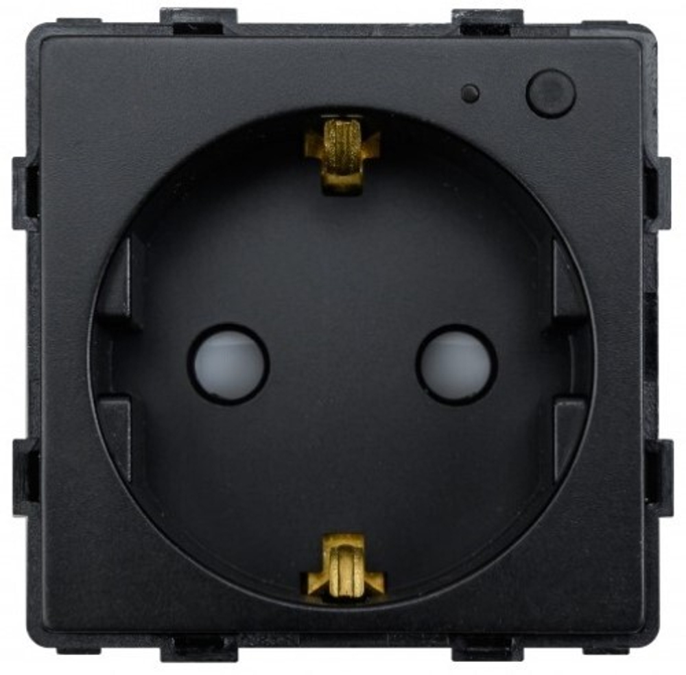 Розетка умная Sibling Powersocket-1PB(S)