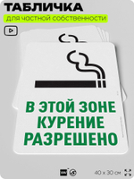 Табличка для частной территории "В этой зоне курение разрешено", на дом, для участка, для подъезда, организаций и частных территорий, предупреждающая, 40х30 см, Silver Plane x Айдентика Технолоджи