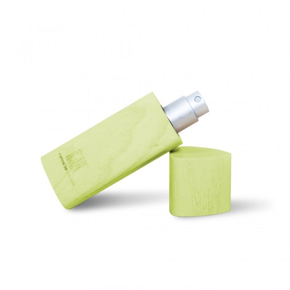 Fiilit Saudade - Amazonia