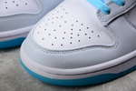 Nike Dunk Low "520"